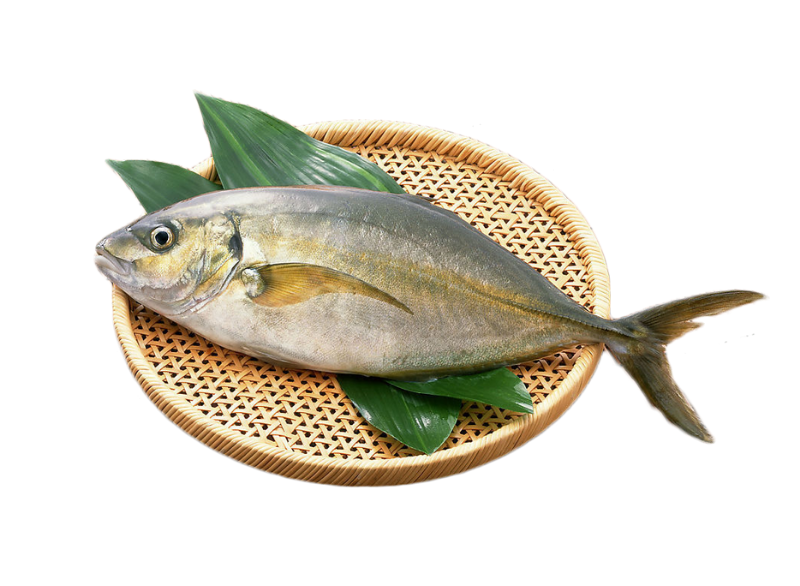 Ikan Kembung